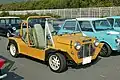 Australischer Moke