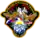 Logo von Mir NASA-7