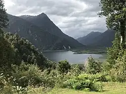 Regenwälder im Nationalpark Pumalín