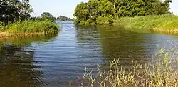 Neuer Priel im Deichvorland am Wrauster Bogen