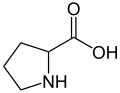 Struktur von Prolin