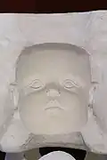 Gipsnegativ