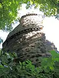 Die Ruine des Mäuseturms 2008