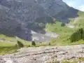 Ein Quellarm des Reichenbachs entspringt einem kleinen Gletscher am Fusse des Wetterhorns
