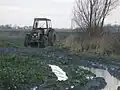 Sie liegt im ländlich geprägten Marschland