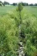 Bachverlauf nach Grotenrath