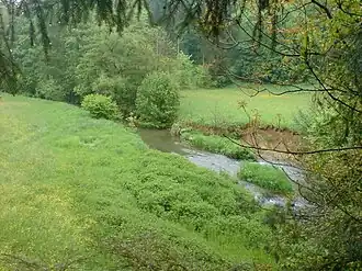 Die Schefflenz an ihrem untersten Talabschnitt