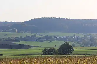 Schweich