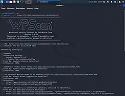Screenshot von WPScan 3.8.18 in Kali Linux 2021.3