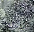 Dunkelgrau glänzende Selenkriställchen in Matrix aus der Absetzerhalde Lichtenberg, Ronneburg (Thüringen), Sichtfeld 5&nbsp;mm
