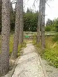 Zugangsweg zum Soldatenfriedhof am Semmering