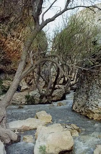 Eine Wasserquelle in Sepidan