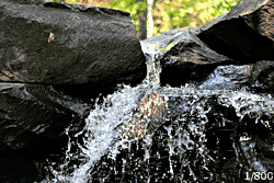 Ein kleiner Wasserfall