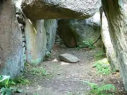 Detail der Kammer