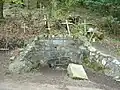 Quelle am Mont Saint-Rigaud
