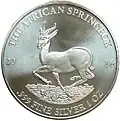 Gabun Silberunze Springbock 2016