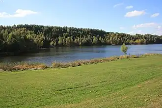 Stausee Oberwald (2012)