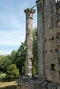 Säule und Antenpilaster