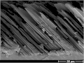 Gekippte Spurtextur mit asymmetrischen Gleiteigenschaften.