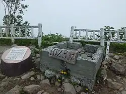Triangulationspunkt
