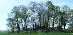Tumulus von Saint-Fiacre in Melrand
