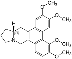 (+)-Tylocrebrin