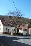 Am Dorfanger