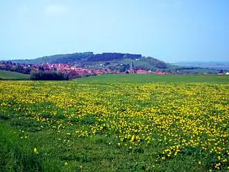 Blick von Südosten über Benzingerode hinweg zum Austberg mit dem Austbergturm