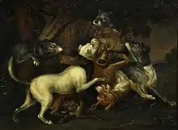 Von Hunden gehetzter Bär