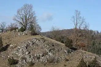 Im Naturschutzgebiet Zwing
