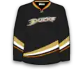 Heimtrikot (2006–2014)