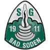 Vereinslogo
