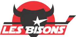 Bisons de Neuilly-sur-Marne Hockey Club Neuilly-sur-Marne