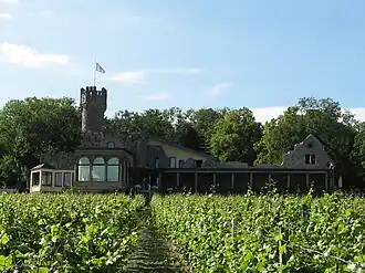 Burg Schwarzenstein