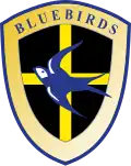 Logo des Cardiff City FC von 2003 bis 2008
