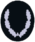 Br/A (Brandinspektor-Anwärter/in, Brandoberinspektor-Anwärter/in, d.&nbsp;h. Vorbereitungsdienst. Br/A ist nicht zu verwechseln mit BrA.)