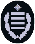 BrAR (Brandamtsrat/-rätin)