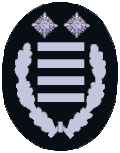 BrOAR (Brandoberamtsrat/-rätin)