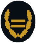 BrR (Brandrat/-rätin)