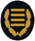 BrD (Branddirektor/in)