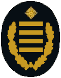 LtdBrD (Leitender Branddirektor, Leitende Branddirektorin)