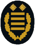 DdF (Direktor/in der Feuerwehr) oder OBrD (Oberbranddirektor/in)