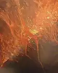 Feuer