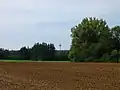 Quellgebiet des Starzelbachs nahe dem Fernmeldeturm Schöngeising