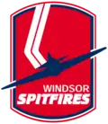Logo von 1987 bis 2007/08