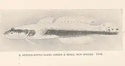ilustracja