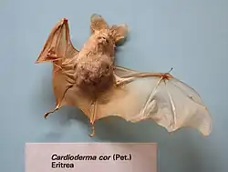 Ilustracja