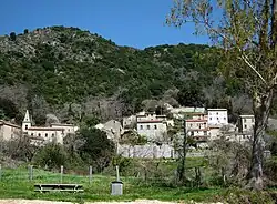 Ilustracja
