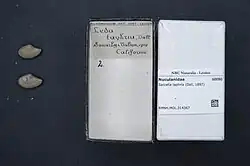 ilustracja
