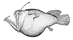 Ilustracja